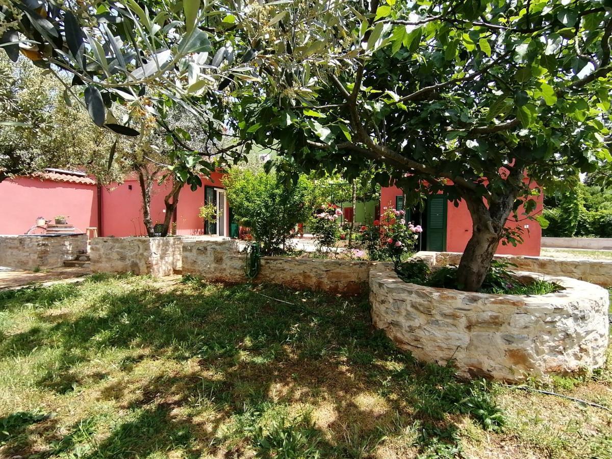 House Bougainvillea Pula Exteriör bild